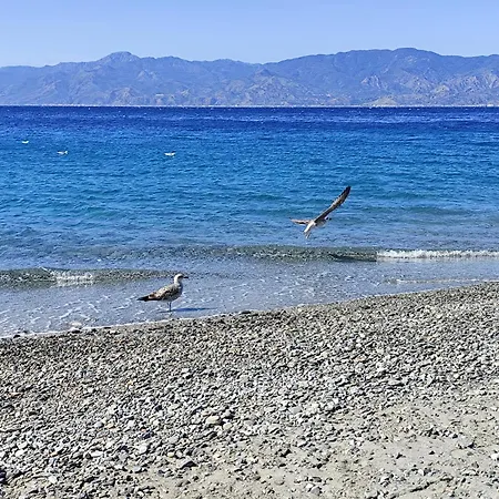 아파트 La Casa Sul Viale *