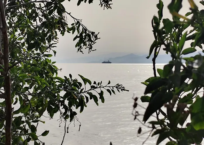 La Casa Sul Viale Apartamento *