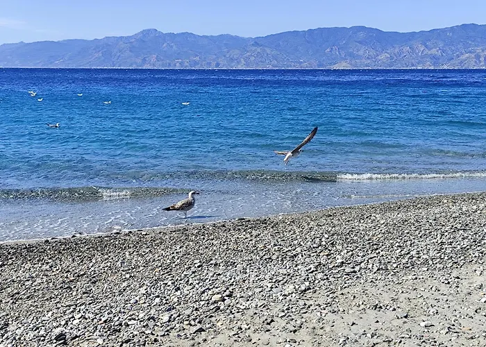 Apartamento La Casa Sul Viale *